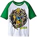 Nickelodeon Little Boys' Teenage Mutant Ninja Turtles Group Shot Raglan Tee