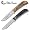 Queen - Drop Point Hunter w/ Oak Handle