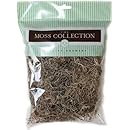 Preserved Spanish Moss 108.5 Cubic Inches-Natural