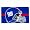 New York Giants