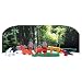 Search : The Amazon Rainforest (Wondrous Wilderness Collection)