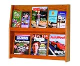 Luggage Pros 6 Magazine/12 Brochure Wall Display