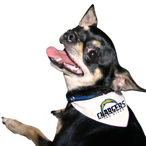 San Diego Chargers Dog Collar Bandana Picture