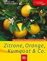 Zitrone, Orange, Kumquat & Co: Die schönsten Zitruspflanzen und ihre Pflege