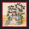 Kitchen Herbs Wall Art - Basil (11x11")