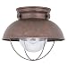 Sea Gull Lighting 8869-44 Outdoor One-Light Close-to-Ceiling Lantern, Weathered Copper Finish