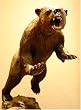 Mt. Griz