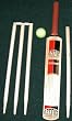 Ozefox Runmaker Cricket Bat Set