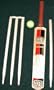 Ozefox Runmaker Cricket Bat Set