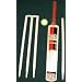 Ozefox Runmaker Cricket Bat Set