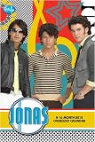 Jonas Brothers -- Jonas 2010 Oversized Poster Calendar