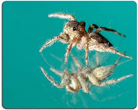 Smoomfly Mouse Pad Natural Rubber Mousepad a jumping spider and Reflection on miror Image ID 22070524