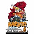 Naruto, Vol. 8