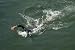Swimming - 24