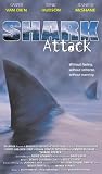 Shark Attack
