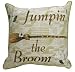 Jumping the Broom Pillows