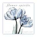 Flower Spirits 2009 Wall Calendar