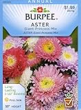 Burpee 36245 Aster Giant Princess Mix Seed Packet