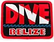 Dive Belize Patch Embroidered Iron On Scuba Diving Flag Emblem Souvenir