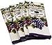 Home Essentials DII 100% Cotton, Machine Washable, Everyday Basic Dishtowel, Printed, Decorative, 15 x 26 Set of 4- Vineyard