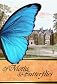 Of Moths & Butterflies