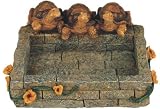Turtle Bird Bath Garden Decoration Collectible Figure Statue Model
