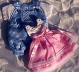 Pink Dress Gift Bag