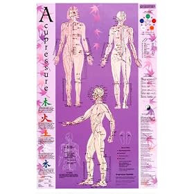 Acupressure Point Reference Laminated Chart/Poster