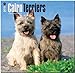 Cairn Terriers 2015 Square 12x12 (Multilingual Edition)