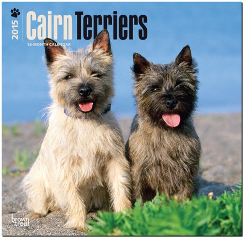 Cairn Terriers 2015 Square 12x12 (Multilingual Edition)