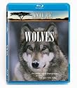 Nature: In the Valley of the Wolves/Christmas in Yellowstone [Blu-ray]