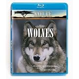 Nature: In the Valley of the Wolves/Christmas in Yellowstone [Blu-ray]