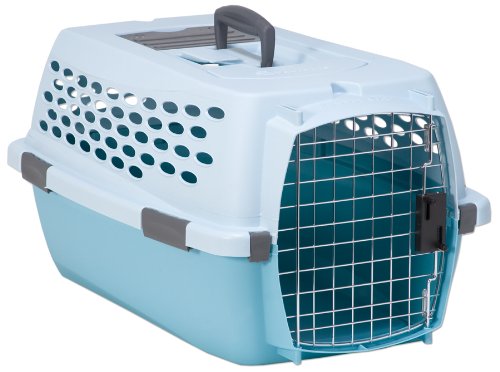 Petmate Kennel Cab Fashion, Medium, Blue Air/Spa Teal
