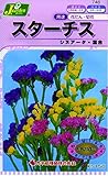 カネコ種苗 草花タネ748 スターチス シヌアータ 混合 10袋セット