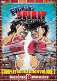 Download Fighting Spirit series DVD