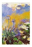 Les Agapanthes Fine Art Poster Print by Claude Monet, 28x40