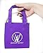 Vertical Vortex Spring with Purple Carry Bag Traveling Interactive Kinetic Toy