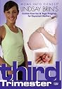 Lindsay Brin's Pregnancy DVD: Yoga, Cardio &amp; Toning 3rd Trimester