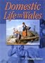 Domestic Life in Wales