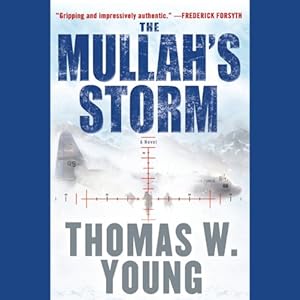 The Mullah's Storm - Thomas W. Young