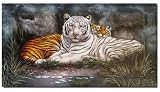 2 Tiger 100x60cm tiger bilder wohnzimmer wandbild