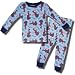 Scooby-Doo 2 piece Blue Thermal Knit Pajamas for Boys