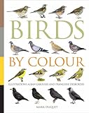 Birds by colour