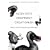 Scientists Confront Creationism: Intelligent Design and Beyond