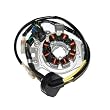 Accel 152575 Motorcycle Lighting Stator for Honda CR250, 2002-07