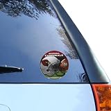 Arizona Cardinals 5 Inch Decal