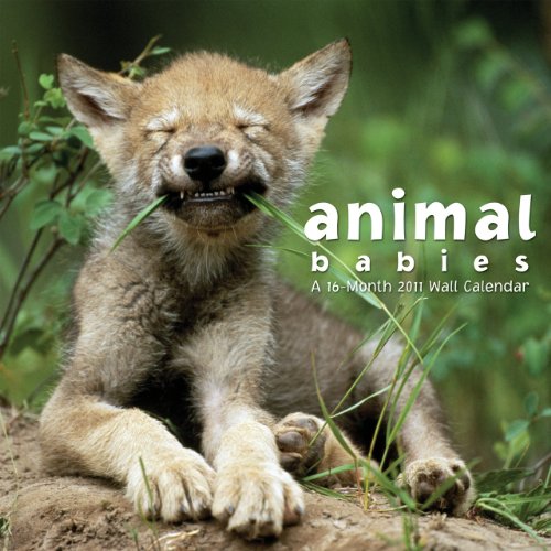 Buy Animal Babies 2011 Wall Calendar