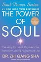 The Power of Soul: The Way to Heal, Rejuvenate, Transform, and Enlighten All Life (Soul Power Series)