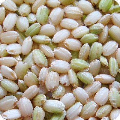 国产(熊本県) 绿米 1kg,国外代购,日本商品代购