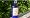 Wool Conditioning Lanolin Spray - Vanilla Mint